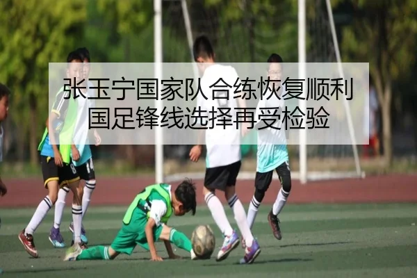 张玉宁国家队合练恢复顺利 国足锋线选择再受检验
