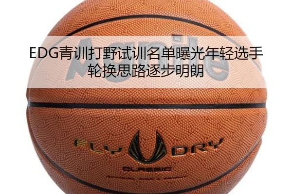 EDG青训打野试训名单曝光年轻选手轮换思路逐步明朗
